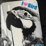 Flap-Bird インコ・オウム販売　ブリーダー　鳥カフェ　インコオウム専門